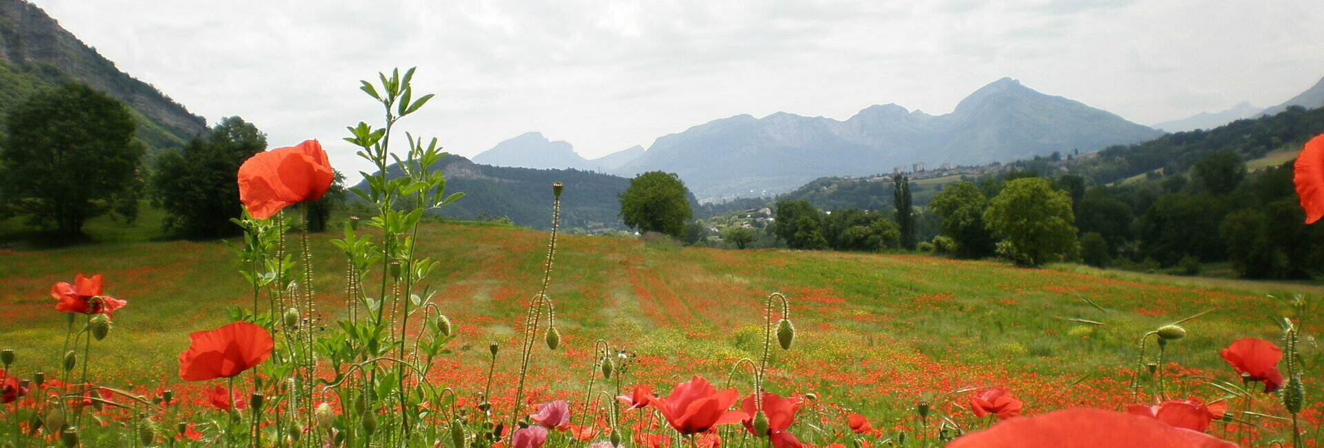 Commune de Méry - Massif du Revard en Savoie