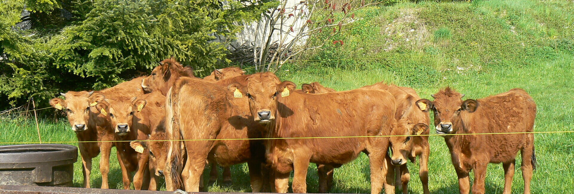 Commune de Méry - Massif du Revard en Savoie