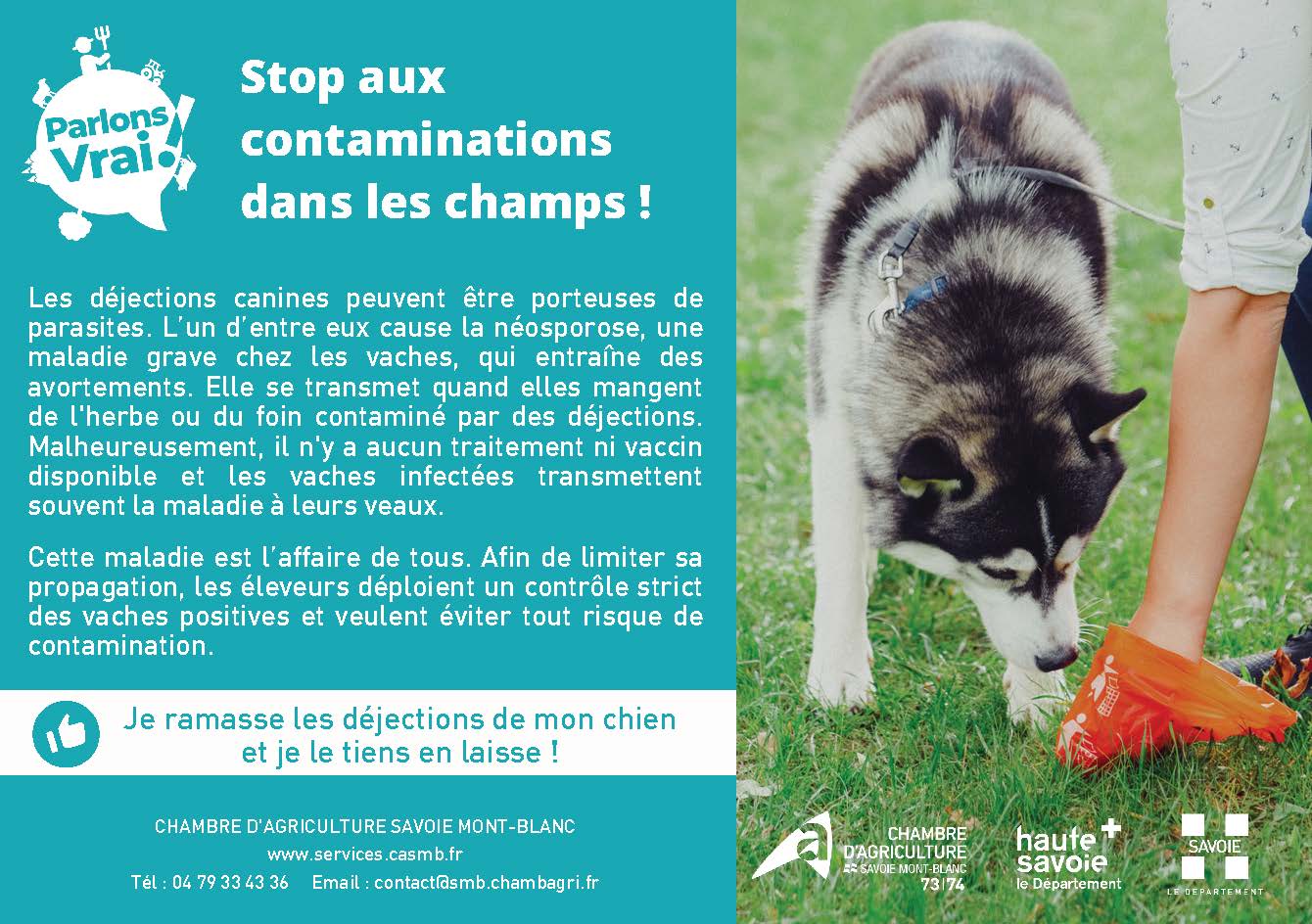 Description de l'image