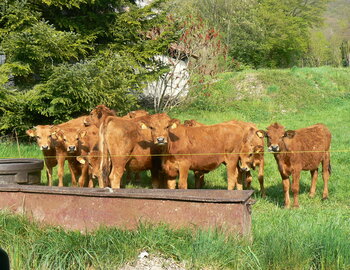 La ferme de Revert